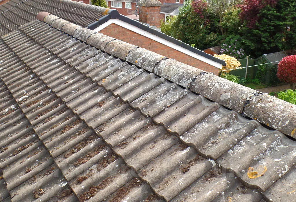 Ridge tiles re bedded on a tiled roof